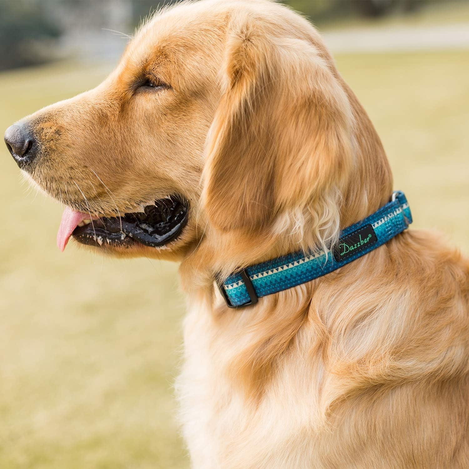 Martingale Dog Collar No Pull Pet Collar Heavy Duty Dog Martingale Collars Silky with Unique Geometric Pattern for Medium and Large Dogs (Large, Turquoise)